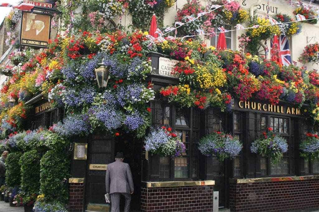  London pub in full bloom