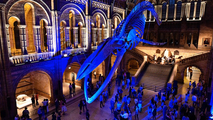 Natural History Museum Lates